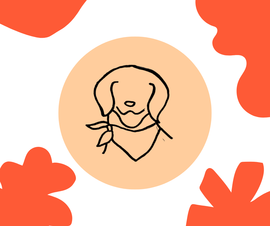 Bandana pour animaux