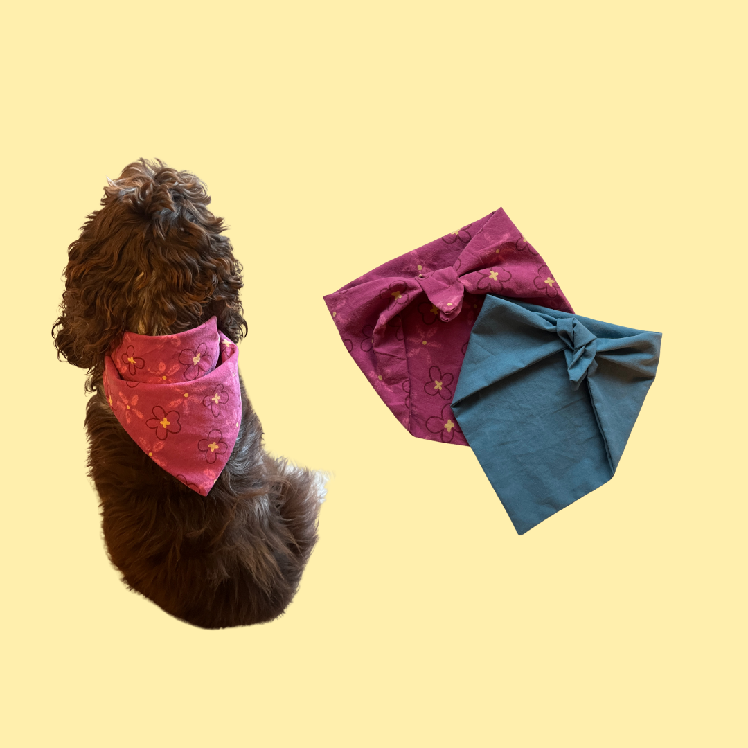 Transformer mon vêtement en Bandana pour animaux
